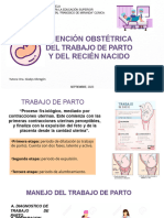 Atención Obstetrica Del Trabajo de Parto y Del Recien Nacido