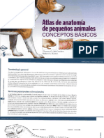 Atlas Atlas de de Anatomía de Pequeños Animales CONCEPTOS BÁSICOS DEL CANINO Y FELINO