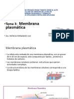 Tema 3 Membrana Plasmatica24