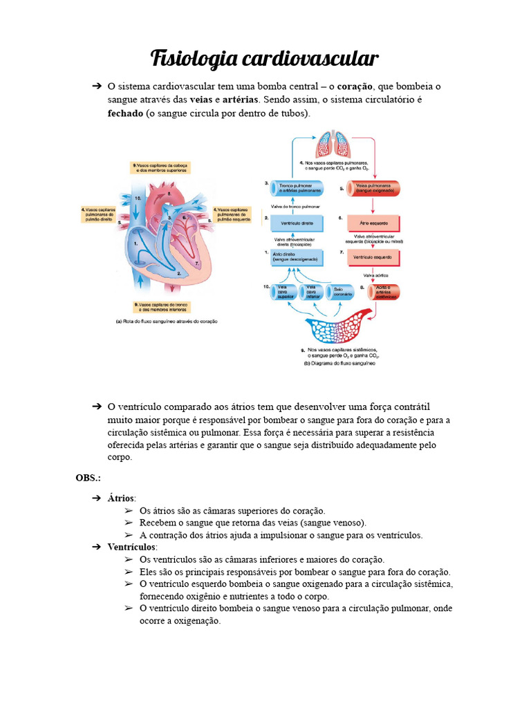Fisiologia do Sistema Cardiovascular | PDF | Sistema circulatório | Coração