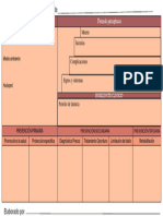 Formato en Blanco de La Historia Natural de La Enfermedad