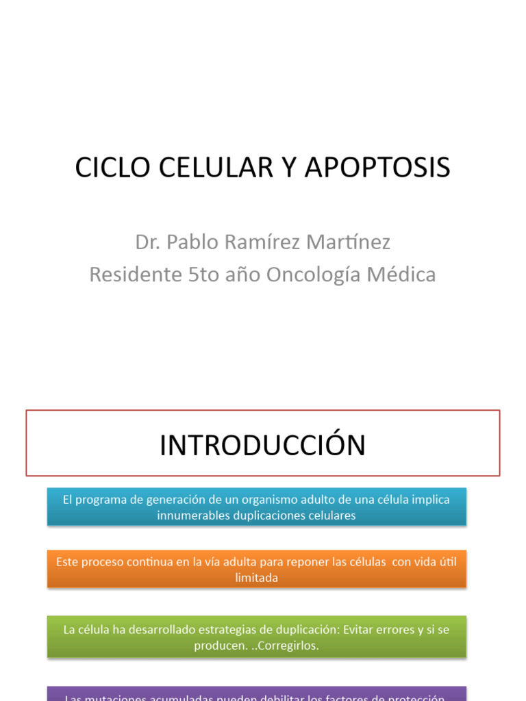 Ciclo Celular y Apoptosis Final | PDF | Bcl 2 | Ciclo celular
