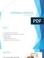 ANATOMIA