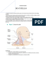 Resumen Trauma