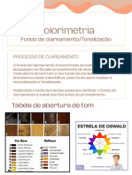 Apostila Colorimetria Curso Vip