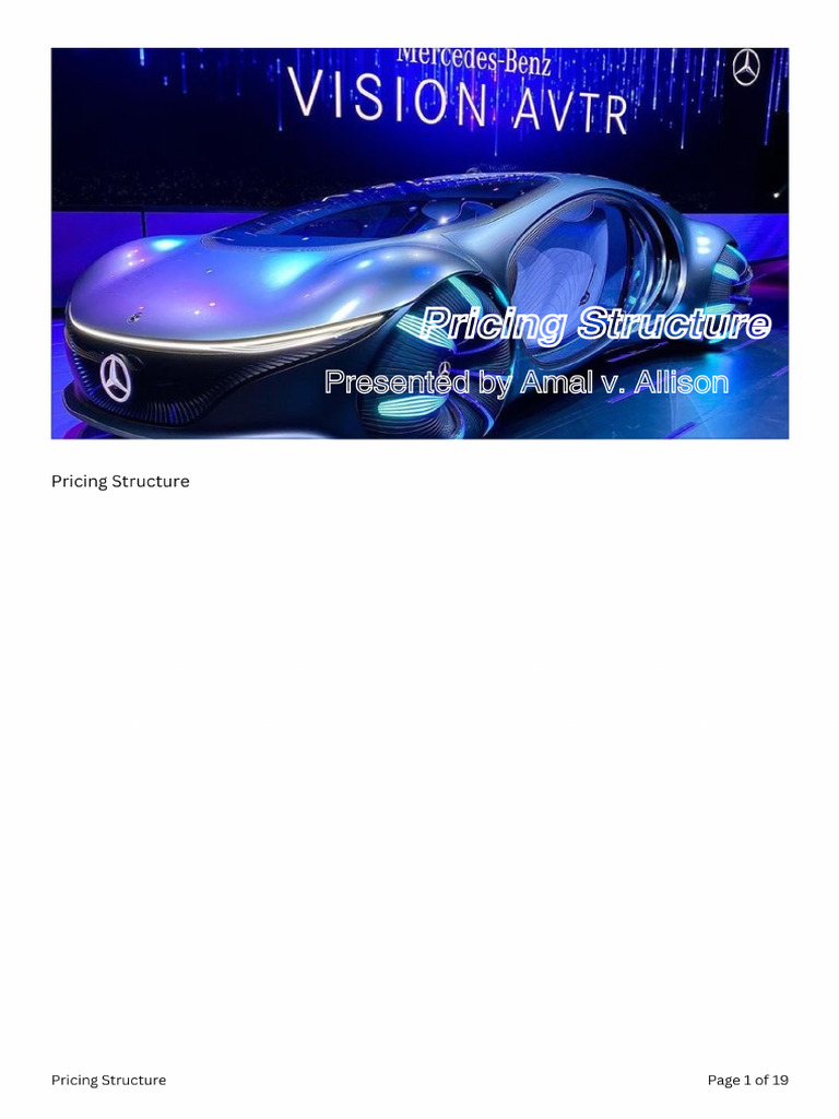 Business Pricing Structure | PDF