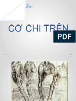 Cơ Chi Trên