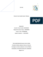 Proyecto Formulacion