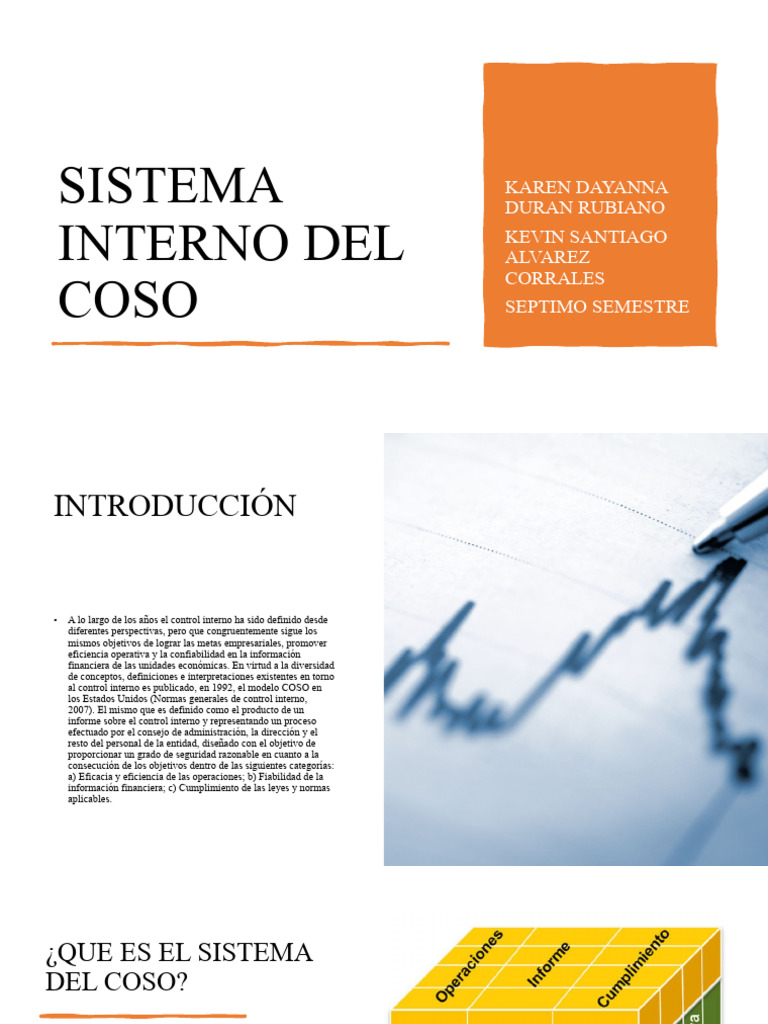 Sistema Interno Del Coso | PDF | Business | Ingeniería de confiabilidad