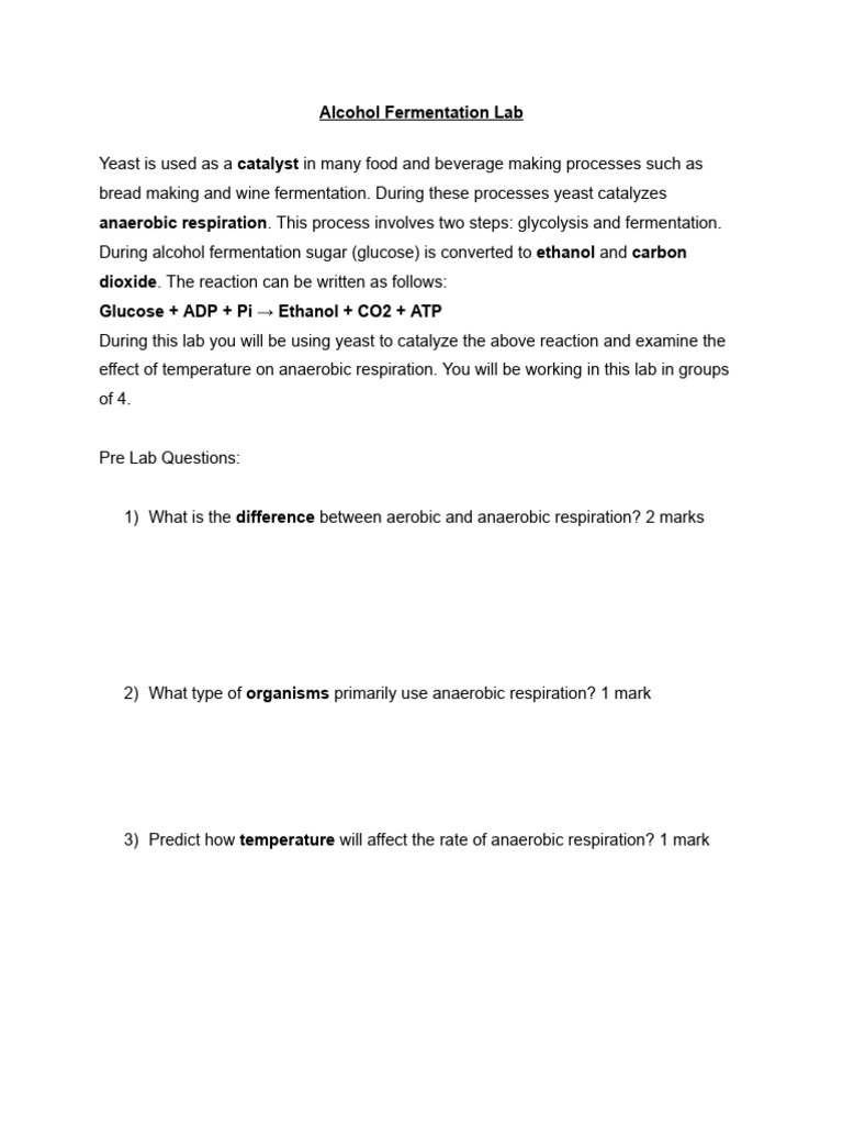 Alcohol fermentation lab pdf cellular respiration fermentation