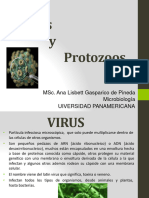 Presentación No. 8, Virus y Protozoos