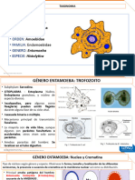 Teoria Parasitologia Medica Sem2