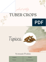 Botany Tuber Crops Final - Compressed