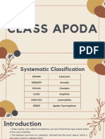 Class Apoda - 20240325 - 220026 - 0000