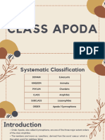 CLASS APODA_20240325_220026_0000