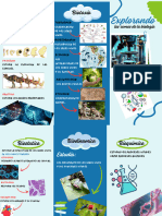 Folleto Tríptico Turismo Asturias Orgánico Azul