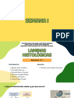 Annotated-Patologia Sem 1-2-3