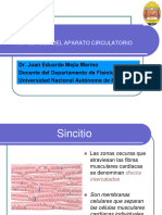 Generalidades Del Aparato Circulatorio