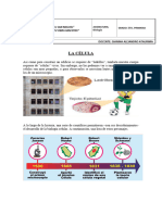 Tema 01 La Célula 5to Grado 2024