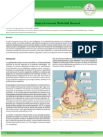 Neurofisiología Del Aprendizaje y La Memoria. Plasticidad Neuronal