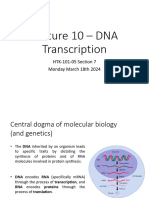 Lecture10 DNATranscription