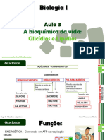 AULA 3 - Glicídios e lipídios