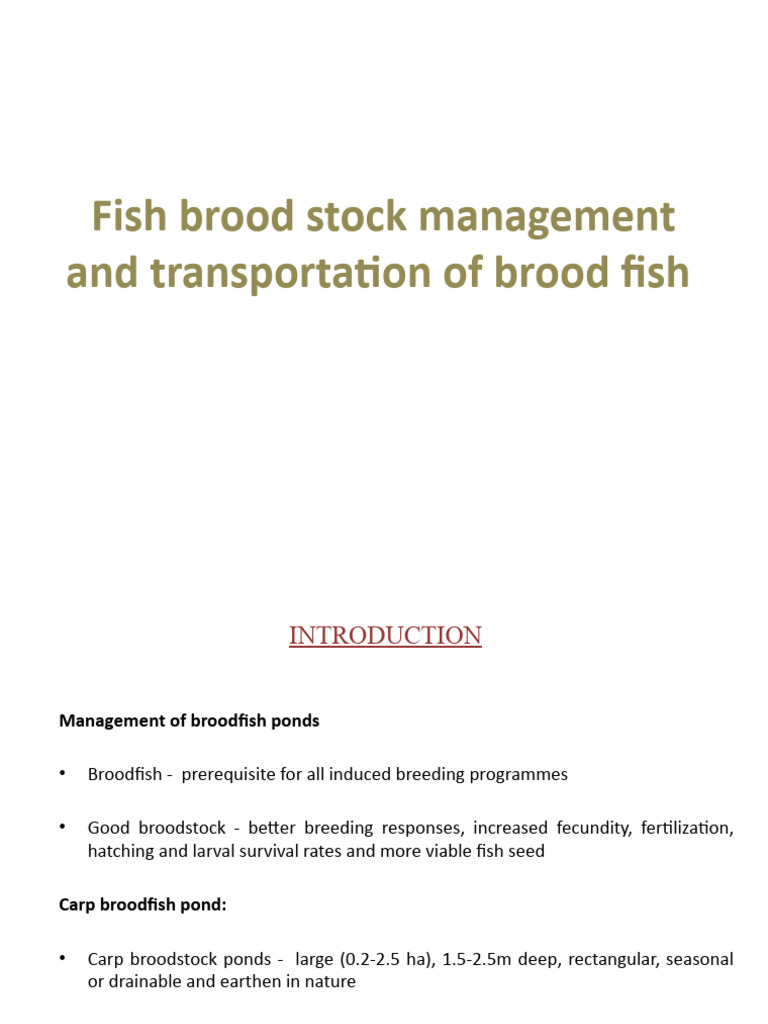 Broodstock Management in Fish Farming | PDF | Selective Breeding
