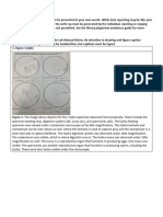 Lab 4 Cnidarians, Platyhelminthes, Annelids, Nematodes Write Up