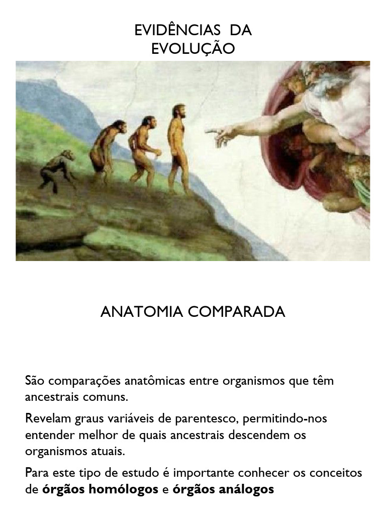 evidencias evolucao | PDF | Fóssil | Evolução
