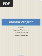 Download Percobaan Uji Nutrisi Makanan dan Kecepatan Respirasi SMA by mirzabf SN71919691 doc pdf