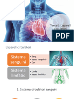 Tema 6 L'aparell Circulatori