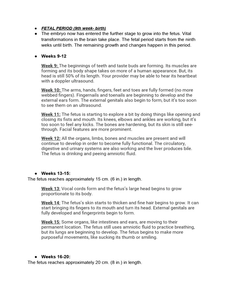 early-childhood-curriculum-models-pdf-fetus-pregnancy
