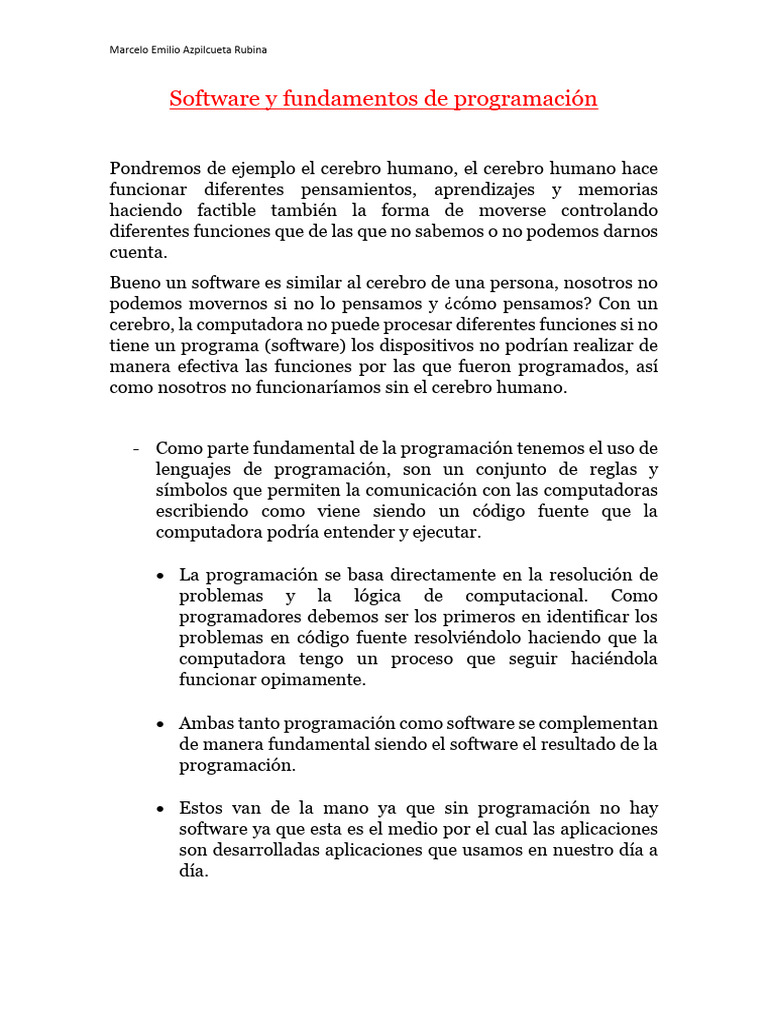 Ensayo Software y Sistemas de Programacion | PDF | Programación de ...