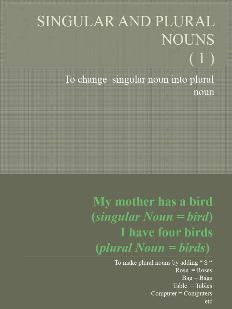 Every Ke Sath Singular Or Plural Examples