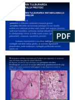 Iii. A. Leziuni Prin Tulburarea Metabolismului Nucleoproteinelor