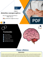 Función Sensitiva y Disturbios Sensoperceptivos - Paul Ruiz PPT (Corregido)