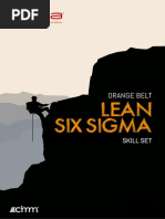 Skill Set Lean Six Sigma Orange Belt v3.2