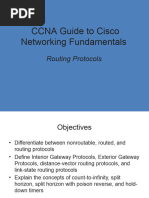 Routing Protocols