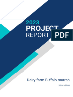 Dairy-farm-Buffalo-murrah