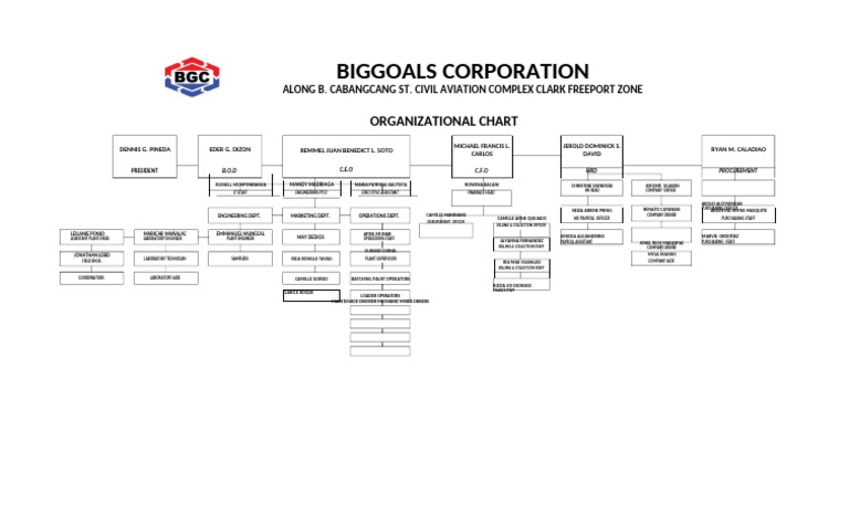 BGC Organizational Chart Overview | PDF