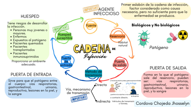 Cadena de Transmisión de Infecciones | PDF | Infección | Patógeno
