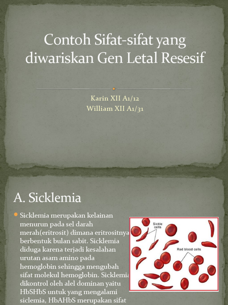Sifat dan Penyakit Genetik Letal | PDF