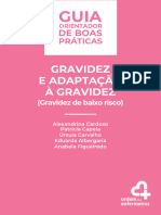 gobpgravidezadaptacaogravidez_v5