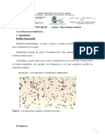 Corynebacterium diphtheriae_2.pdf · version 1