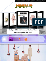 College of Health Science. Gachon Univ. Hwi-Young Cho, PT, PHD