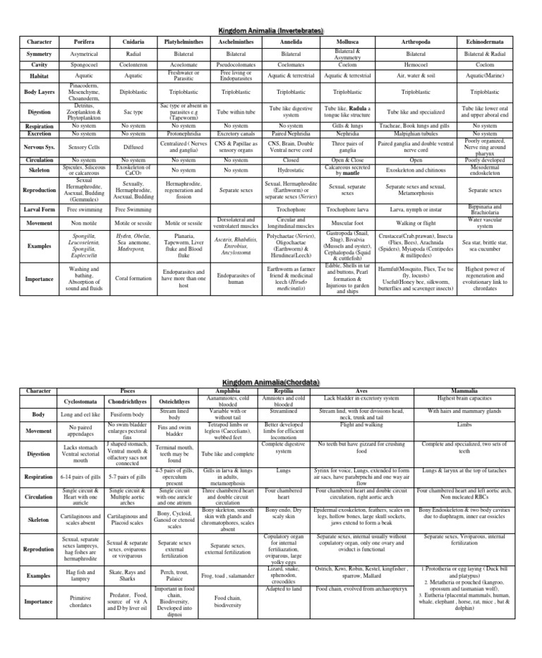 Kingdom Animalia Summary | PDF | Fish | Gill
