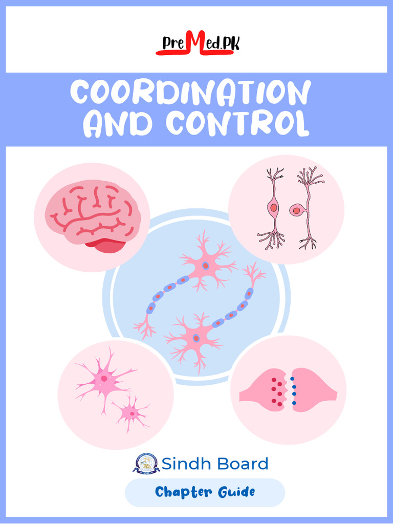 Coordination and Control in Biology | PDF | Nervous System | Autonomic ...