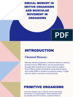 Chemical memory in Primitive Organisms and Muscular movement in organisms