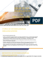 What Is An International Organizations