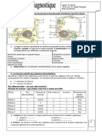 Ev. Diagnostique 1